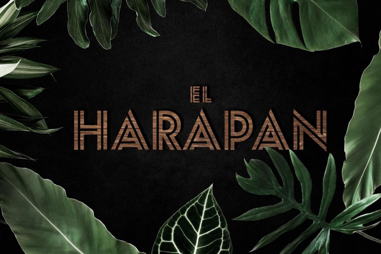 El Harapan - Sumergete En Una Selva A Pie De Playa - Grupo Querbes 기욘 외부 사진